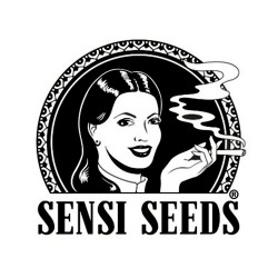 Comprar Sensi Seeds Regulär