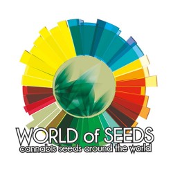 Comprar World Of Seeds Auto