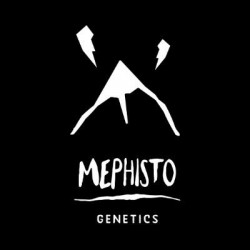 Comprar Mephisto Genetics