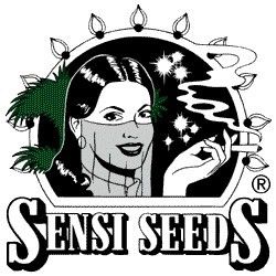 Comprar Semillas Feminizadas Sensi Seeds