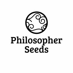 Comprar Philosopher Seeds Auto