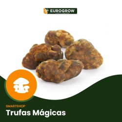 Comprar Trufas Magicas