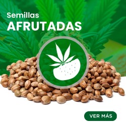 Comprar Semillas Afrutadas