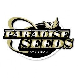 Comprar Semillas Feminizadas Paradise Seeds