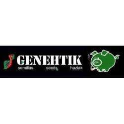 Comprar Genehtik-Samen