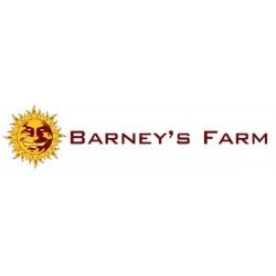 Barney's Farm Auto