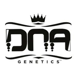 Comprar Semillas Feminizadas DNA Genetics