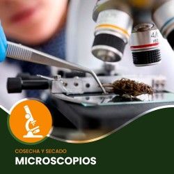 Comprar Microscopios
