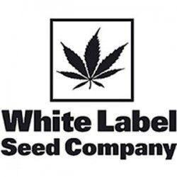 Comprar White-Label-Autoflowering