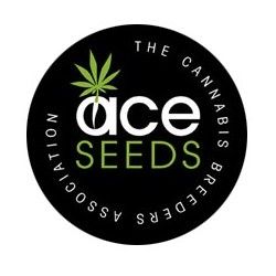 Comprar Ace Seeds Regulär