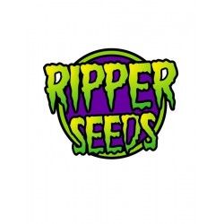 Comprar Semillas Feminizadas Ripper Seeds