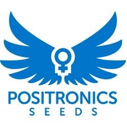 Comprar Positronics Autoflowering