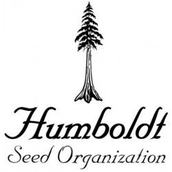 Comprar Semillas Feminizadas Humboldt Seed Organization