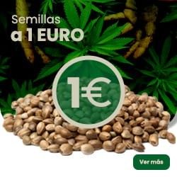 Comprar Samen für 1 Euro