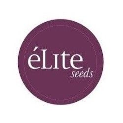 Comprar Semillas Feminizadas Elite Seeds