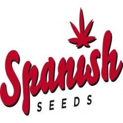 Comprar Semillas Feminizadas Spanish Seeds