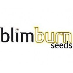 Comprar Semillas Feminizadas Blimburn Seeds