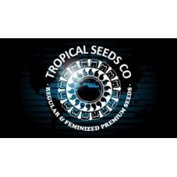 Comprar Semillas Feminizadas Tropical Seeds