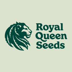 Royal Queen Seeds Auto