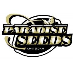 Paradise Seeds Auto
