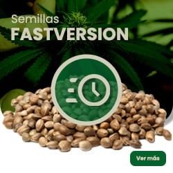 Comprar Semillas Fast Version