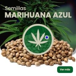 Comprar Blaue Marihuanasamen