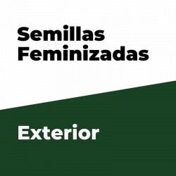 Comprar Feminisierte Outdoor-Samen