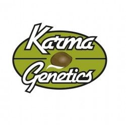 Comprar Semillas Feminizadas Karma Genetics