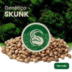 Comprar Skunk-Genetik