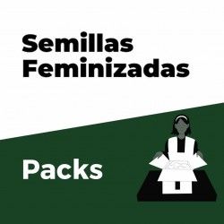 Comprar Feminisierte Samenpackung