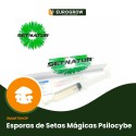 Esporas de Setas Mágicas Psilocybe