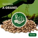 Semillas a Granel