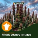 Kit de Cultivo Exterior