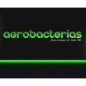 Agrobacterias