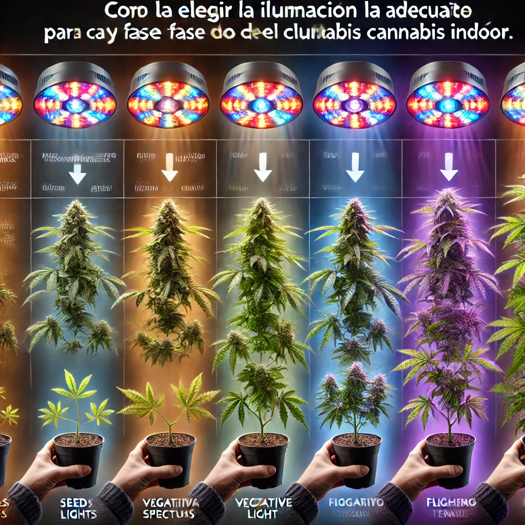 Mejor iluminación para cultivo interior de cannabis