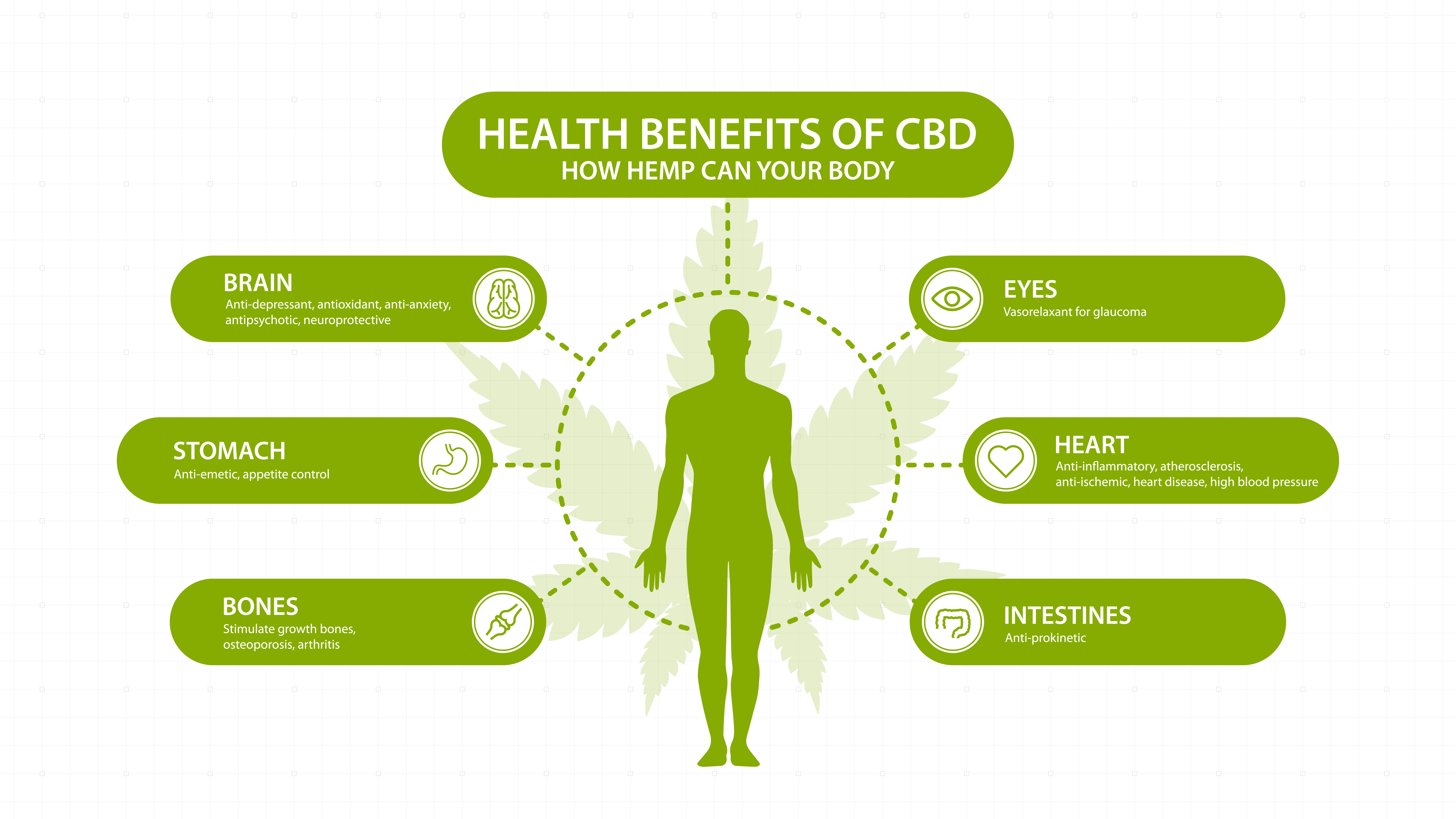 La anandamida y su relación con el THC y el CBD - RQS Blog