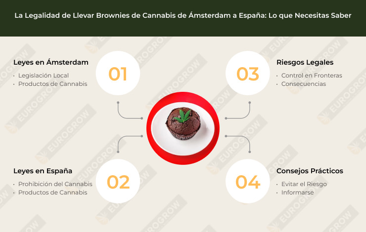 Brownie legal de Amsterdam a España