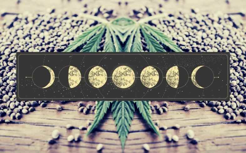 calendario lunar marihuana 2022