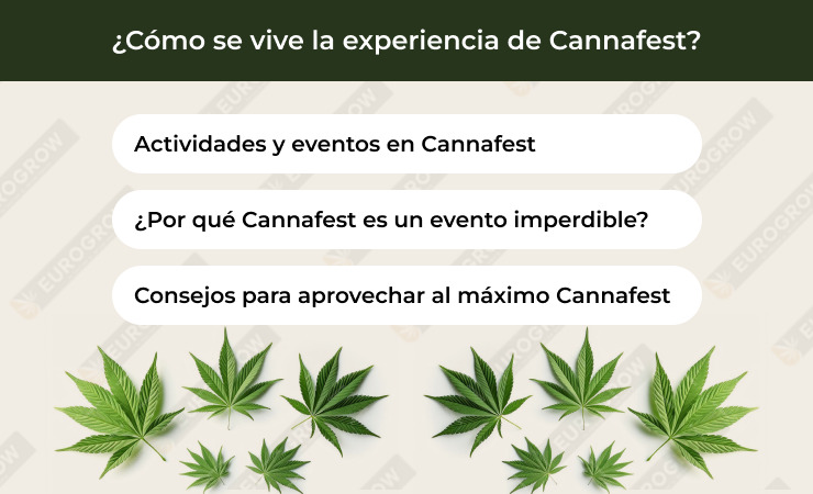 cannfest