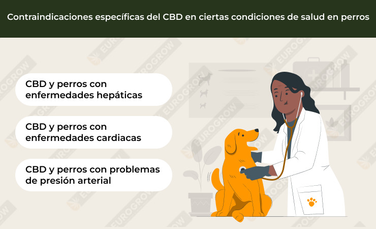 contraindicaciones del cbd para perros