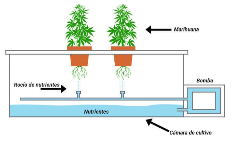 cultivo de marihuana hydro