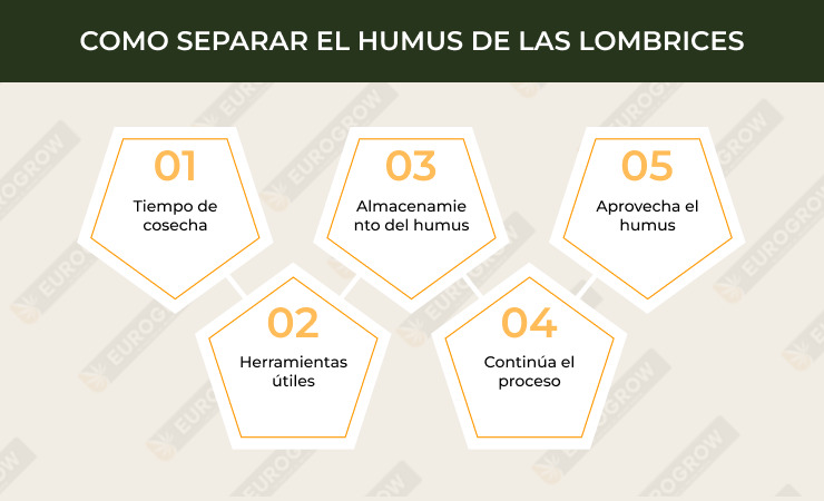 como fabricar humus de lombriz