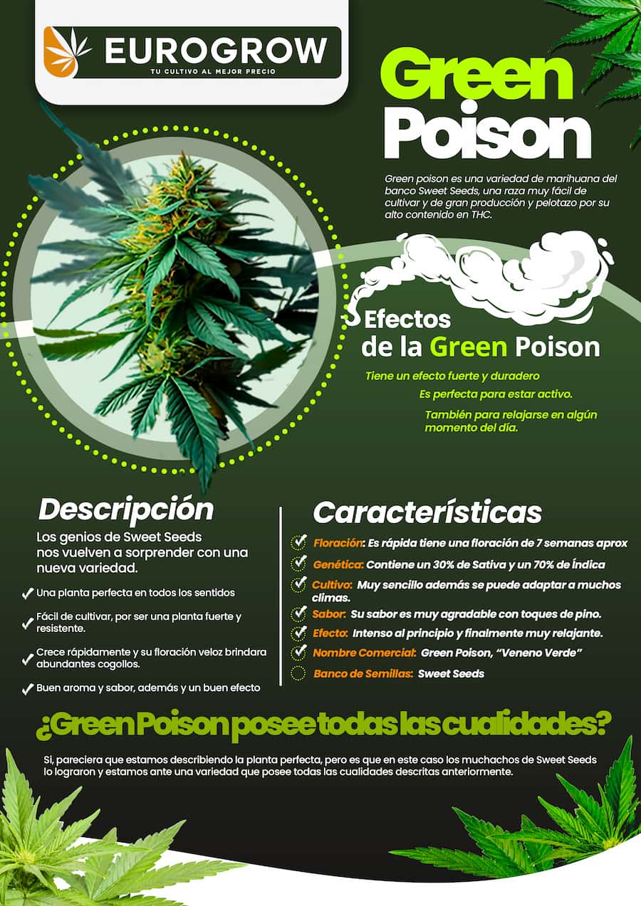 green poison infografia