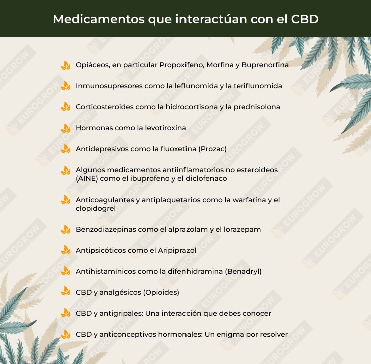 CBD y medicamentos interferencias