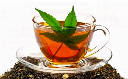 Cómo hacer un té de marihuana - Beneficios, riesgos y receta para