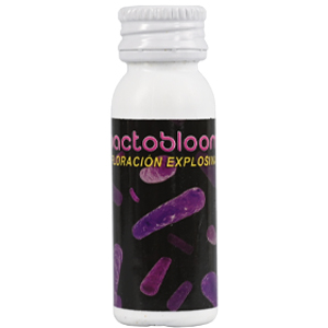 Beneficios-de-utilizar-Bactobloom