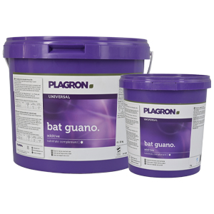 Bat-Guano-caracteristicas