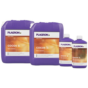 Plagron-Hydro-coco