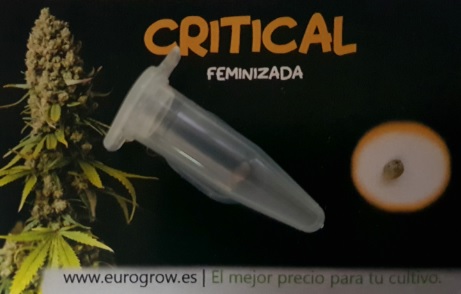 Critical a granel