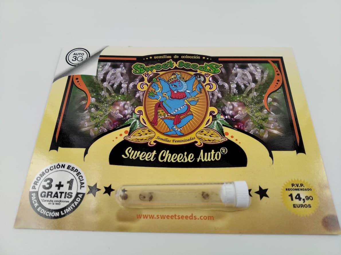 sweet cheese auto